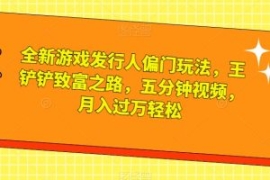 全新游戏发行人偏门玩法，王铲铲...