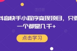 最新抖音快手小程序变现项目，只...