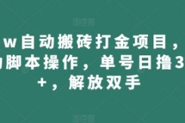wow自动搬砖打金项目，全自动脚...
