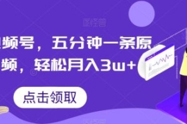 抖音视频号，五分钟一条原创视频...
