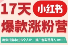 17天小红书爆款涨粉营（广告变现...