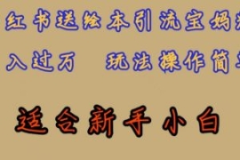 全网首发，小红书绘本引流宝妈粉...