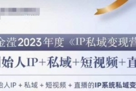 IP私域变现营，创业人做私域IP必...