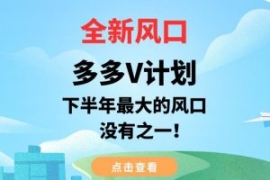 全新风口，多多V计划，下半年最...