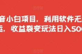 抖音小白项目，利用软件无脑搬运...