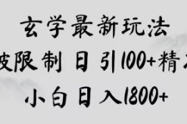 玄学新玩法，突破限制，日引100+...
