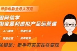 跟阿信学淘宝暴利虚拟产品运营课...