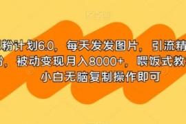 男粉计划6.0，每天发发图片，引...