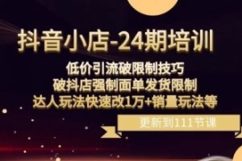 抖音小店-24期：低价引流破限制...