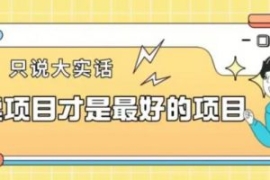 卖项目才是最好的项目一单3000+...