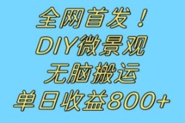 全网首发冷门赛道！DIY微景观，...