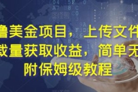 最新撸美金项目，上传文件，通过...