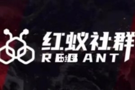 社群运营：红蚁社群【48节落地系...