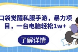 口袋觉醒私服手游，暴力项目，一...
