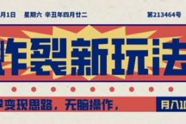 炸裂新玩法，哲学变现思路，无脑...