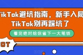 TikTok避坑指南，新手入局TikTok...