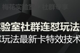 梅花实验室社群连怼玩法第五期，...
