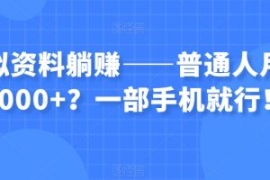 虚拟资料躺赚——普通人月入6000...