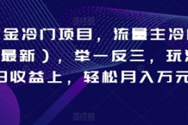 AI掘金冷门项目，流量主冷门赛道...