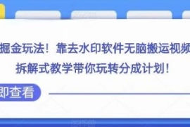 视频号高级掘金玩法，靠去水印软...
