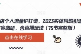 实体店个人流量IP打造，2023实体...