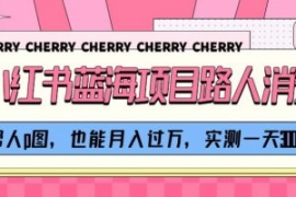 小红书蓝海项目路人消失术，帮人...