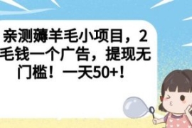 亲测薅羊毛小项目，2毛钱一个广...