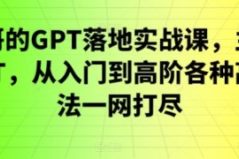 浩哥的GPT落地实战课，主攻GPT，...