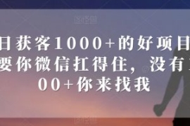 单日获客1000+的好项目，只要你...