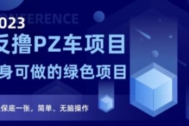 2023反撸PZ车项目，终身可做的绿...