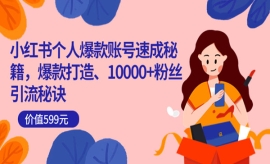 《第72期》小红书个人爆款账号速...