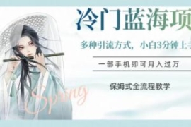 冷门蓝海项目，操作简单，小白3...