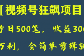 日收款500笔，纯利润3000+，视频...