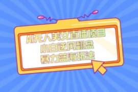 外面卖1980的AI无人美女直播项目...