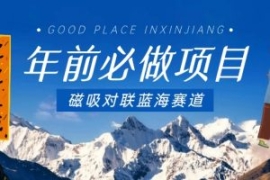 年前必做项目，磁吸对联蓝海赛道...