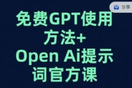 免费GPT+OPEN AI提示词官方课...