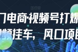 九门电商·视频号打爆短视频挂车...