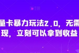 秒反流量卡暴力玩法2.0，无需次...