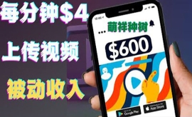 《第163期》只需要上传视频然后...