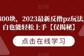 一天800块，2023最新反撸pz玩法...