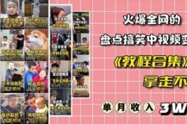 火爆抖音的搞笑盘点中视频项目（...