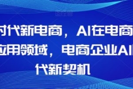Al时代新电商，Al在电商中的应用...