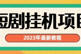 2023年最新短剧挂机项目，暴力变...