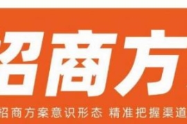 王昕招商方案，解构招商方案意识...