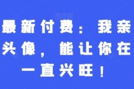 灏泽最新付费：我亲选了几种头像...