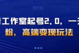 抖音工作室起号2.0，一天千粉，...