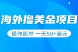 撸美金项目无门槛操作简单小白一...
