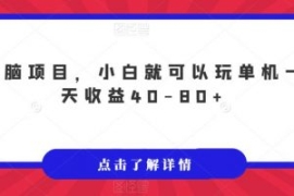 无脑项目，小白就可以玩单机一天...