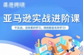 亚马逊FBA运营进阶课，不实战，...