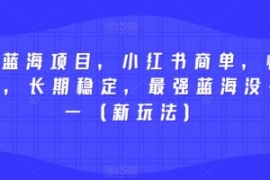 2023蓝海项目，小红书商单，快速...